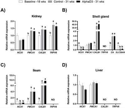 Physiological changes in the regulation of calcium and phosphorus utilization that occur after the onset of egg production in commercial laying hens